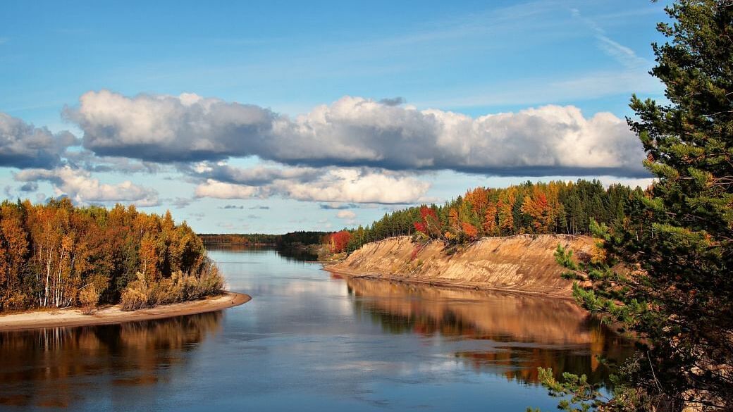 Здесь мы живём, учимся, взрослеем